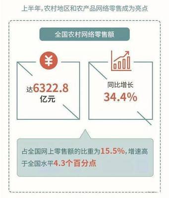 农村电商异军突起，日用百货销售成上半年增长亮点